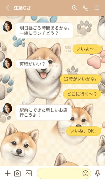 [LINE着せ替え] ペイントされた柴犬の画像3