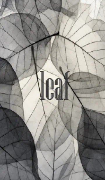 [LINE着せ替え] Gray translucent leaves, simple (JP)の画像1