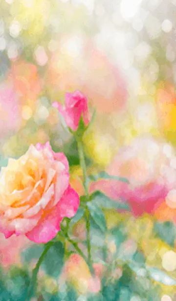 [LINE着せ替え] 薔薇(バラ)の花の着せかえ(R2410)の画像1