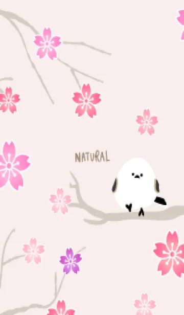 [LINE着せ替え] シマエナガ 桜29の画像1