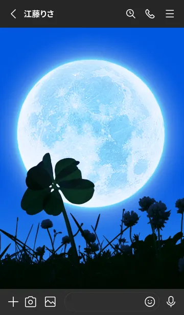 [LINE着せ替え] 7-Leaf Clover & Full Moon #4-9の画像2