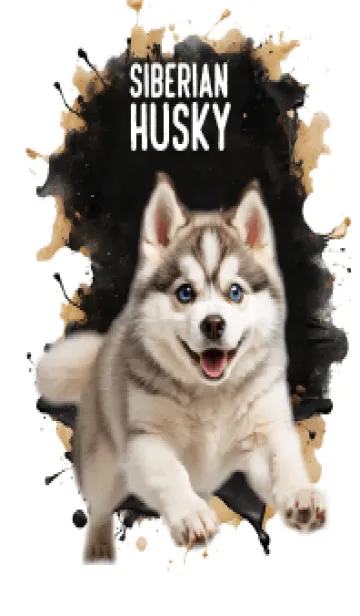 [LINE着せ替え] Cute siberian husky Cool Theme (JP)の画像1