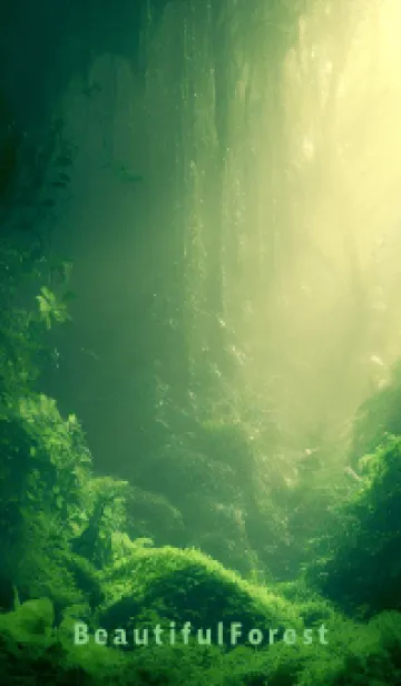 Beautiful Forest-HEALING- 7の着せ替えメイン画像