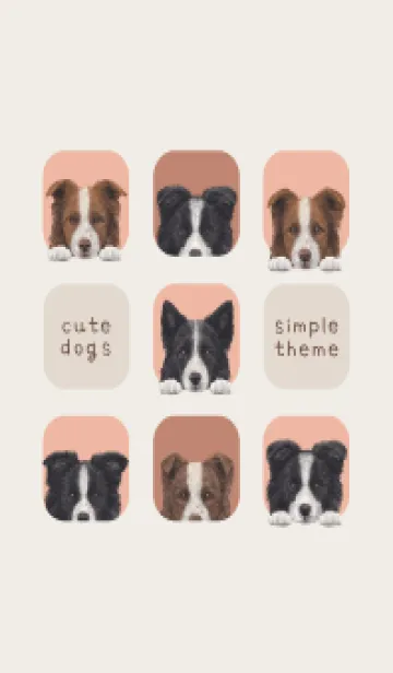 [LINE着せ替え] DOGS - ボーダーコリー - サーモンピンクの画像1