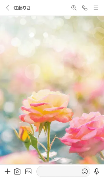 [LINE着せ替え] 薔薇(バラ)の花の着せかえ(R2433)の画像2