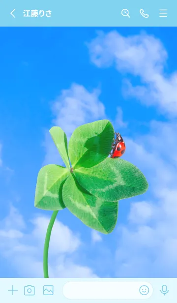 [LINE着せ替え] 本物ラッキークローバー & Ladybird #2-15の画像2