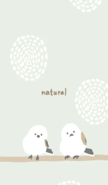 [LINE着せ替え] シマエナガ 丸18の画像1