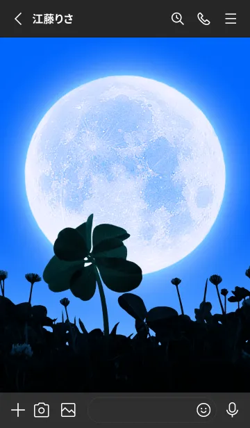 [LINE着せ替え] 7-Leaf Clover & Full Moon #7-9の画像2