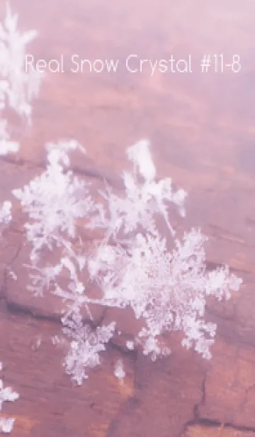 [LINE着せ替え] Real Snow Crystal #11-8の画像1