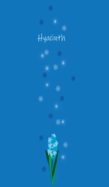 [LINE着せ替え] 2月の誕生花＊ヒヤシンスの画像1