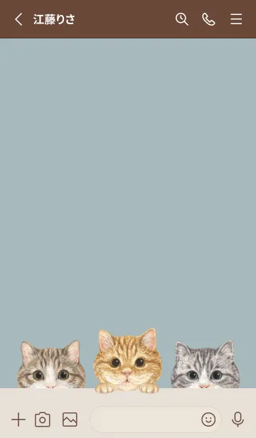 [LINE着せ替え] 猫 - マンチカン - ブルーグレーの画像2