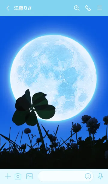 [LINE着せ替え] 7-Leaf Clover & Full Moon #4-10の画像2