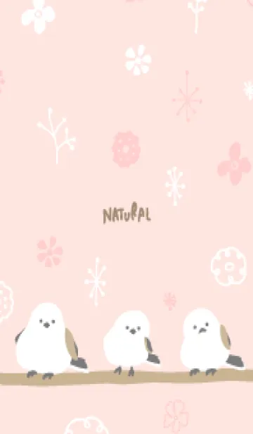 [LINE着せ替え] シマエナガ 冬模様21の画像1