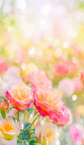 [LINE着せ替え] 薔薇(バラ)の花の着せかえ(R2488)の画像1