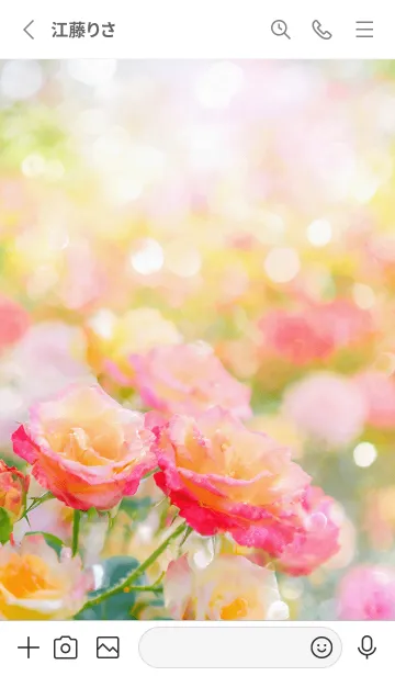 [LINE着せ替え] 薔薇(バラ)の花の着せかえ(R2488)の画像2