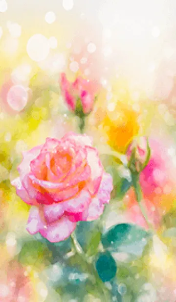 [LINE着せ替え] 薔薇(バラ)の花の着せかえ(R2497)の画像1