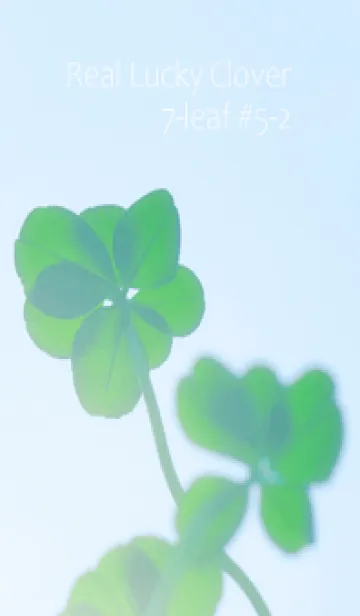 本物ラッキークローバー 7-leaf #5-2の着せ替えメイン画像