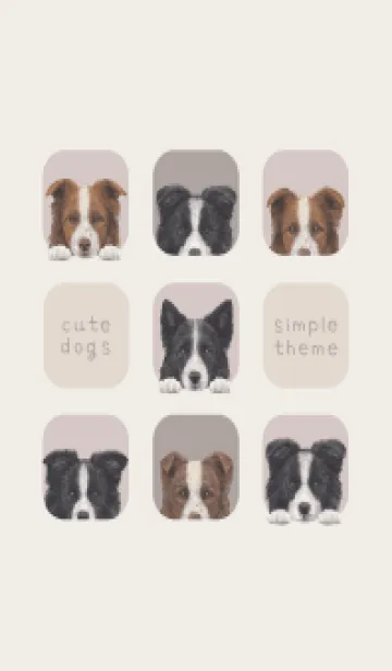 [LINE着せ替え] DOGS- ボーダーコリー -ブラウングレーの画像1