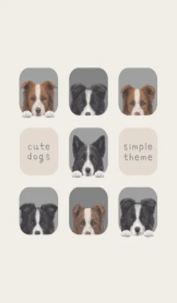 [LINE着せ替え] DOGS - ボーダーコリー - アッシュグレーの画像1