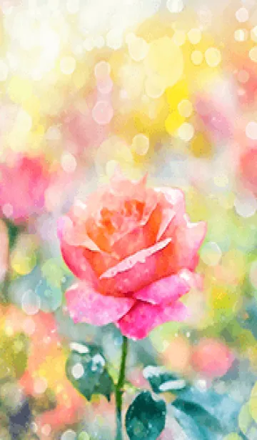 [LINE着せ替え] 薔薇(バラ)の花の着せかえ(R2501)の画像1