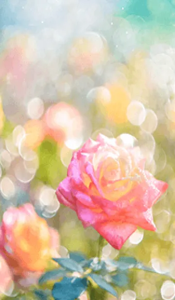 [LINE着せ替え] 薔薇(バラ)の花の着せかえ(R2502)の画像1