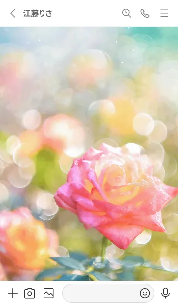 [LINE着せ替え] 薔薇(バラ)の花の着せかえ(R2502)の画像2