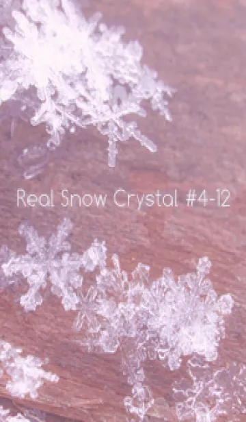 [LINE着せ替え] Real Snow Crystal #4-12の画像1