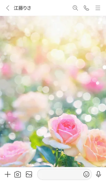 [LINE着せ替え] 薔薇(バラ)の花の着せかえ(R2507)の画像2