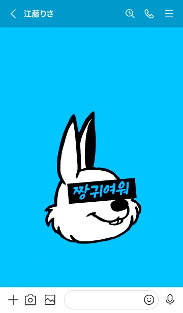 [LINE着せ替え] KOREA RABBIT THEME 133の画像2