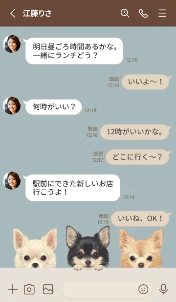 [LINE着せ替え] ワンワン！- チワワ L - ブルーグレーの画像3