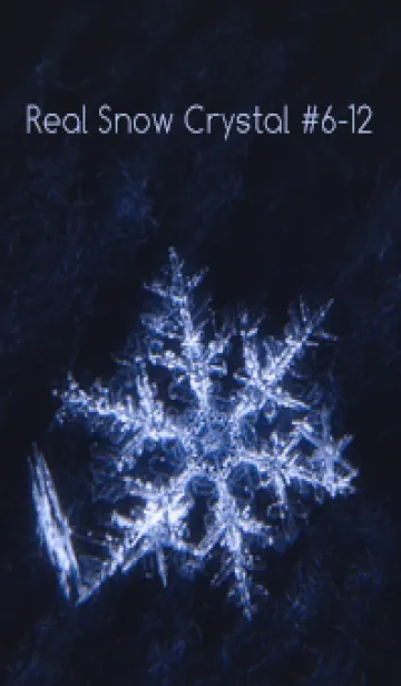 [LINE着せ替え] Real Snow Crystal #6-12の画像1