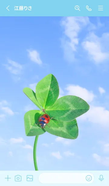 [LINE着せ替え] 本物ラッキークローバー & Ladybird #3-17の画像2