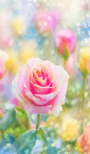 [LINE着せ替え] 薔薇(バラ)の花の着せかえ(R2530)の画像1