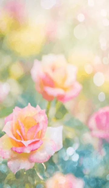 [LINE着せ替え] 薔薇(バラ)の花の着せかえ(R2537)の画像1