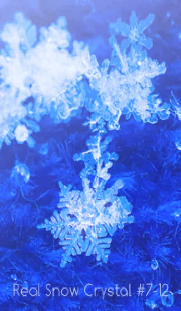 [LINE着せ替え] Real Snow Crystal #7-12の画像1