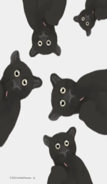 [LINE着せ替え] 野生ネコ: クロヒョウの画像1