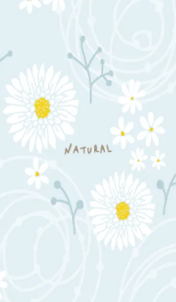 [LINE着せ替え] 白い花 くすみ30の画像1