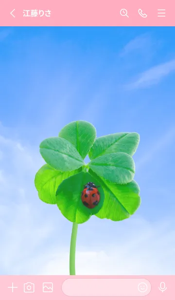 [LINE着せ替え] 本物ラッキークローバー & Ladybird #4-17の画像2