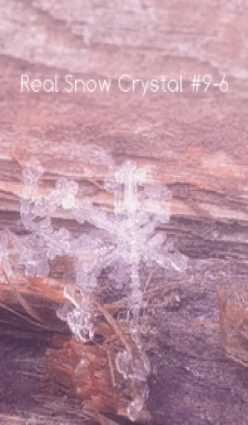 Real Snow Crystal #9-6の着せ替えメイン画像
