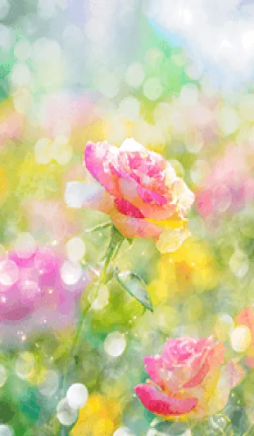 [LINE着せ替え] 薔薇(バラ)の花の着せかえ(R2546)の画像1