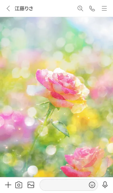 [LINE着せ替え] 薔薇(バラ)の花の着せかえ(R2546)の画像2