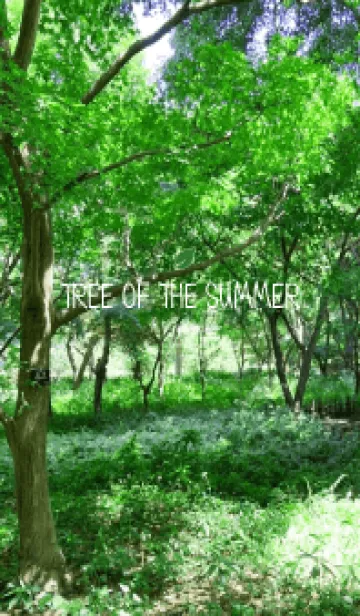 [LINE着せ替え] TREE OF THE SUMMER - MEKYM 11の画像1