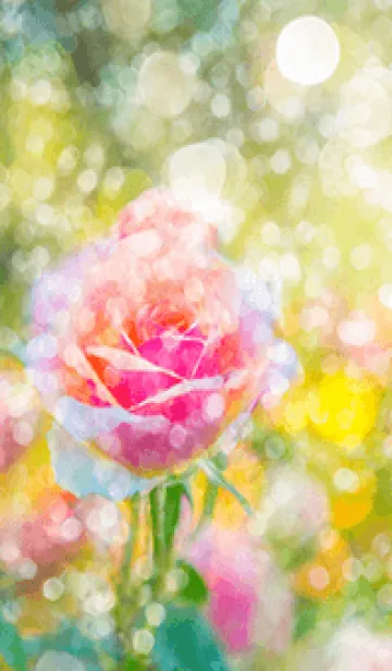 [LINE着せ替え] 薔薇(バラ)の花の着せかえ(R2554)の画像1