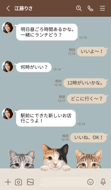 [LINE着せ替え] 猫 - ミックス 01 - ブルーグレーの画像3