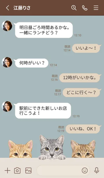 [LINE着せ替え] 猫 - ミックス 03 - ブルーグレーの画像3