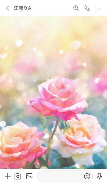 [LINE着せ替え] 薔薇(バラ)の花の着せかえ(R2560)の画像2