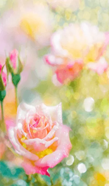 [LINE着せ替え] 薔薇(バラ)の花の着せかえ(R2566)の画像1