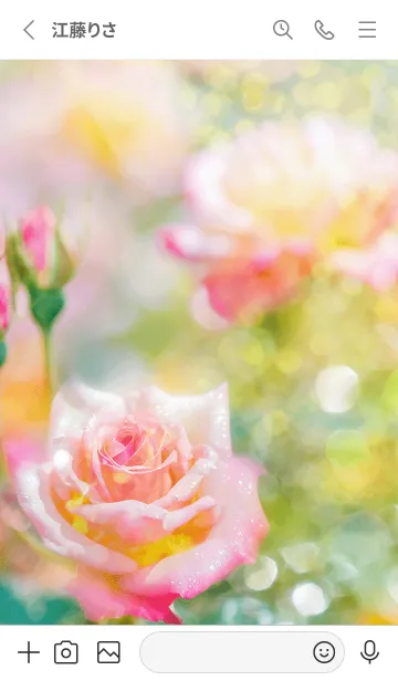 [LINE着せ替え] 薔薇(バラ)の花の着せかえ(R2566)の画像2