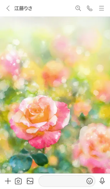 [LINE着せ替え] 薔薇(バラ)の花の着せかえ(R2570)の画像2