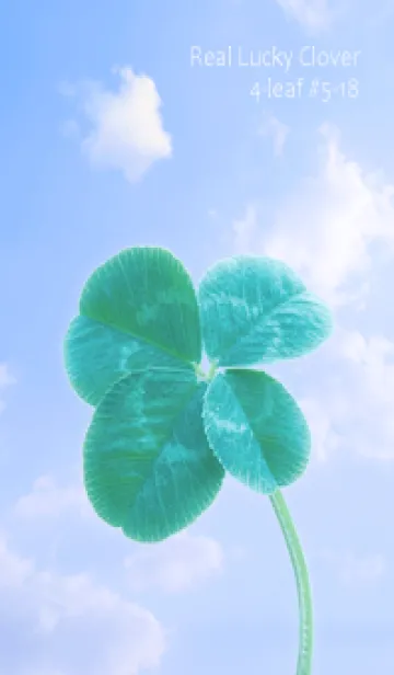[LINE着せ替え] 本物ラッキークローバー 4-leaf #5-18の画像1